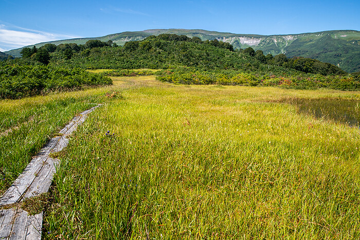 _DSC1820-1
