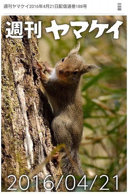 イメージ 6