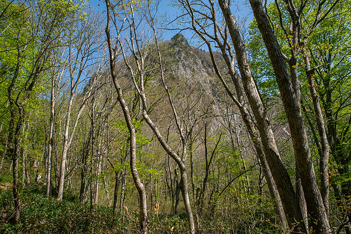 DSC_4287-1