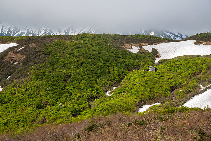 _DSC7537-1