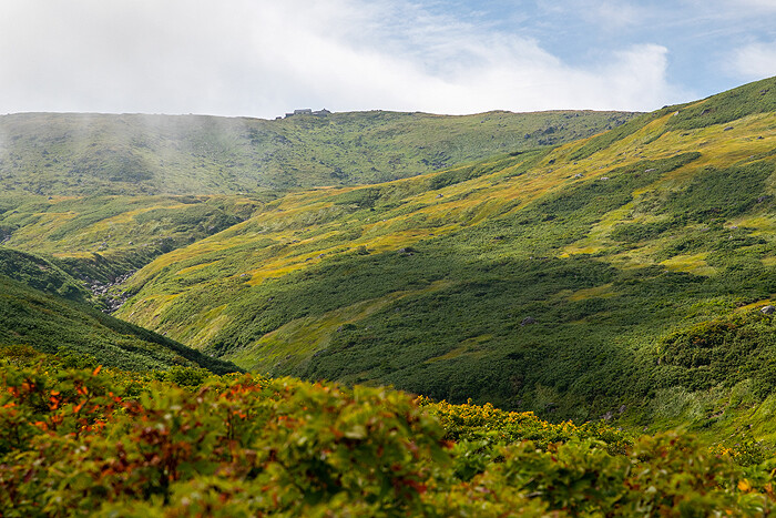 _DSC1860-1