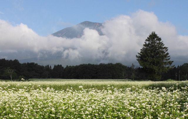 岩手山 そこに山があるんだもん 岩手山 そこに山があるんだもん