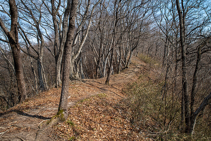 DSC_2485-1