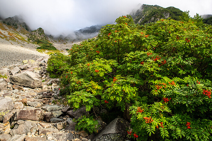 _DSC1658-1