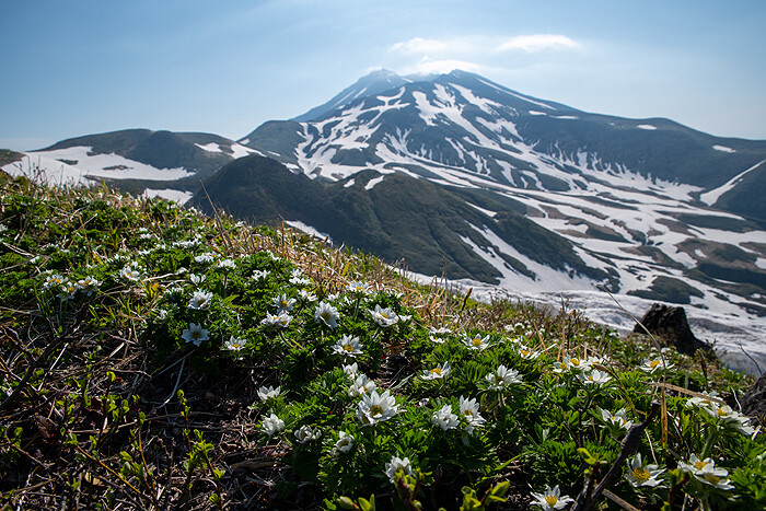 _DSC4023-1