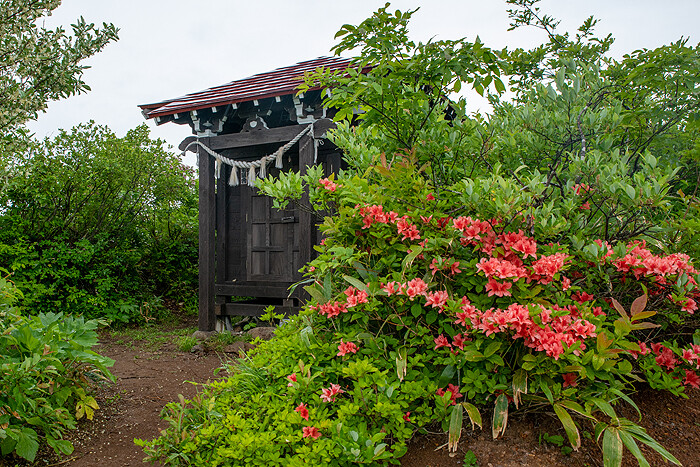 DSC_6190-1