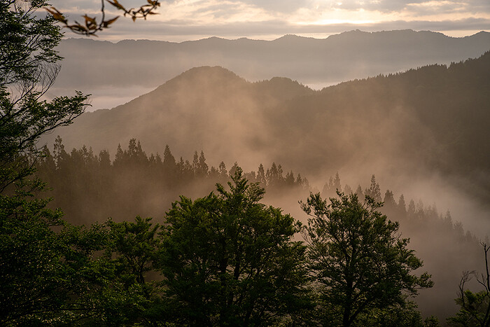 _DSC2786-1