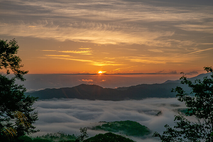 _DSC1711-1