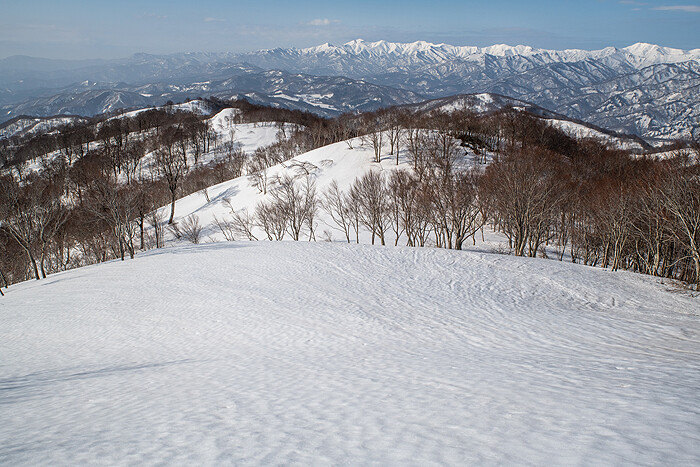 _DSC0249-1
