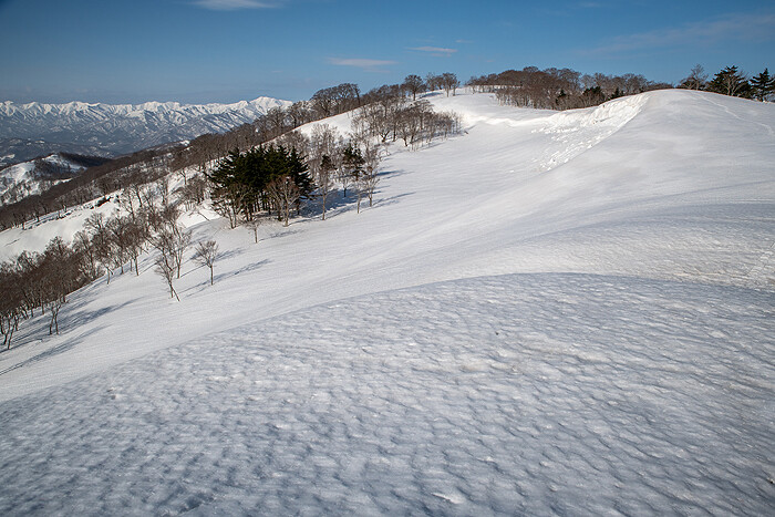 _DSC0242-1