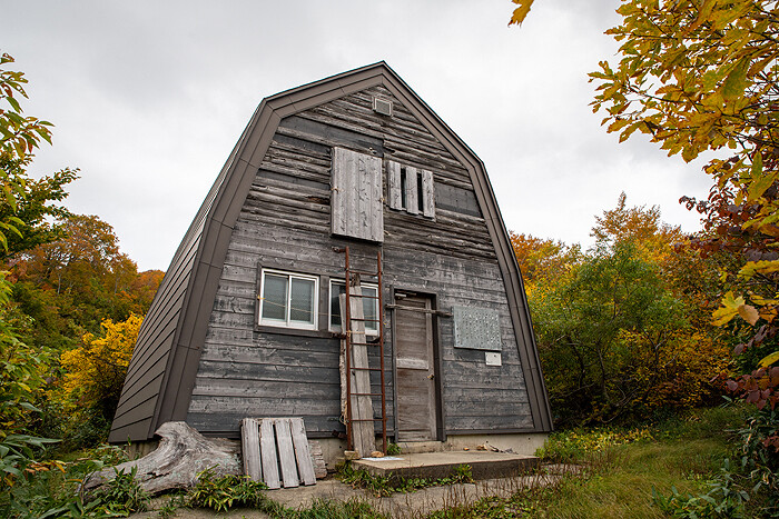 _DSC3131-1