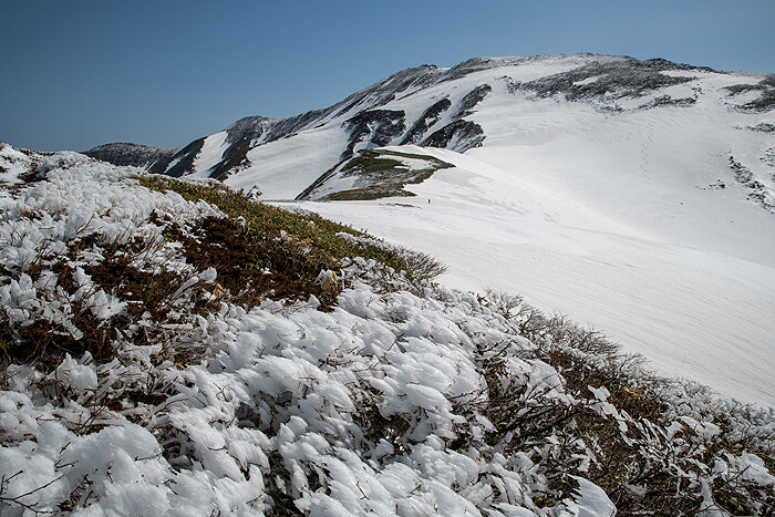 _DSC1820-2