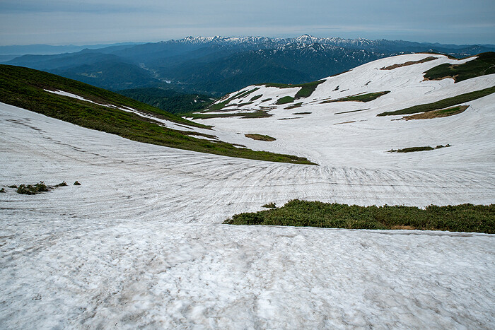 DSC_4553-1