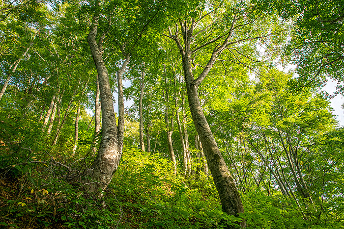 _DSC1754-1