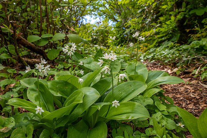 _DSC7610-1