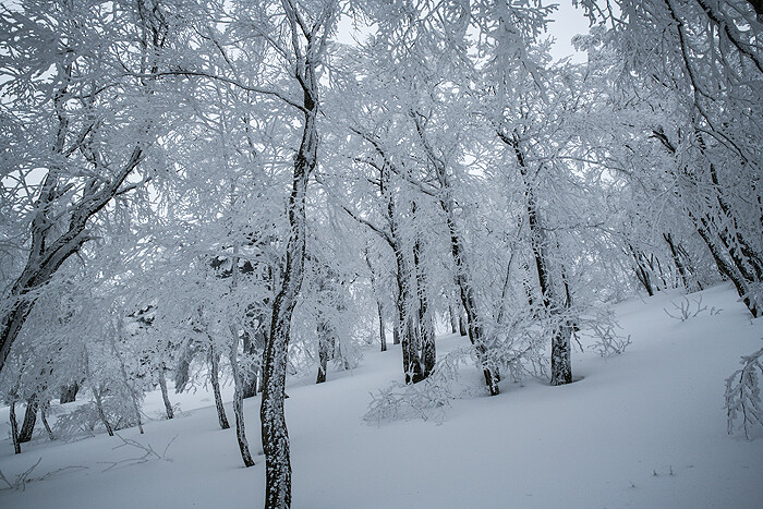 DSC_0916-1b