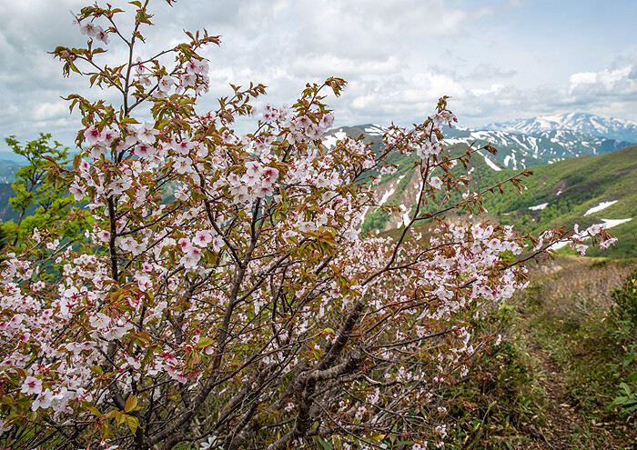 _DSC3037-1
