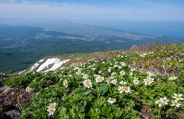 _DSC4084-1