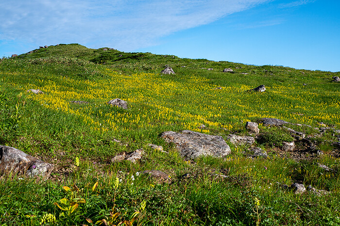 _DSC9580-1