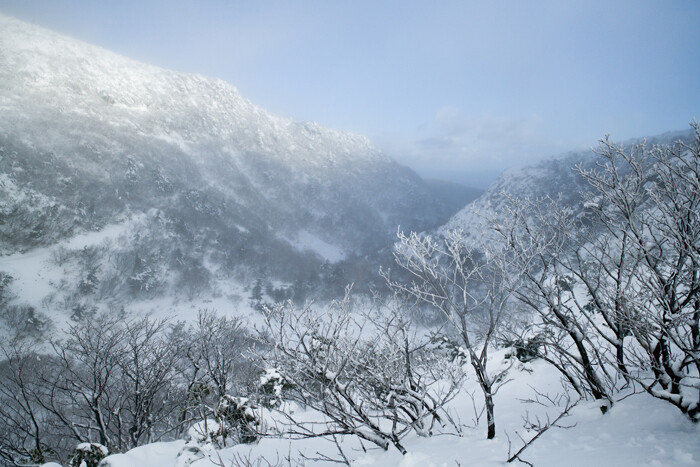 DSC_0742-1p