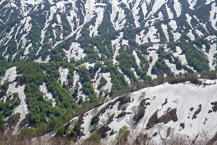 _DSC2709 (1)-1