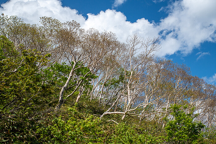 _DSC3606-1