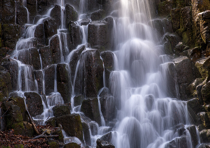 _DSC1615-1