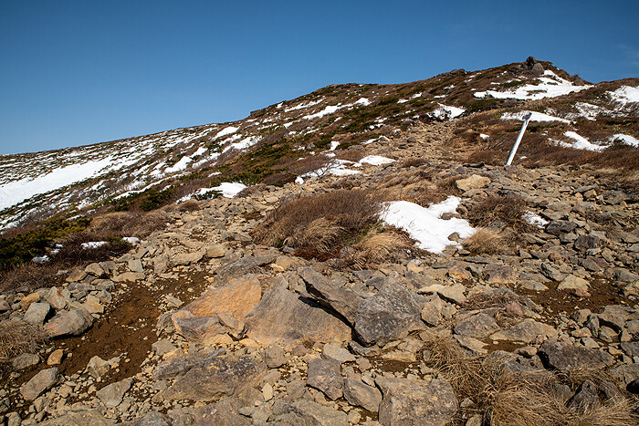 DSC_1820-1