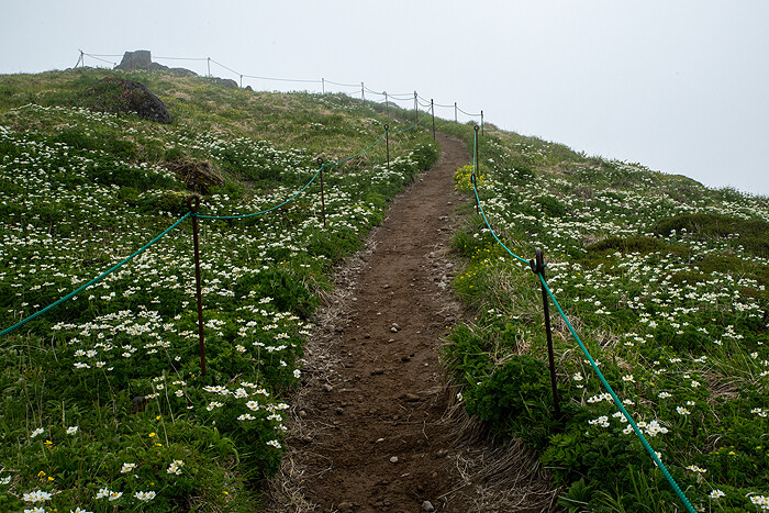 DSC_4718-1