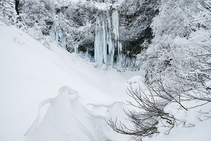DSC_0919-1c