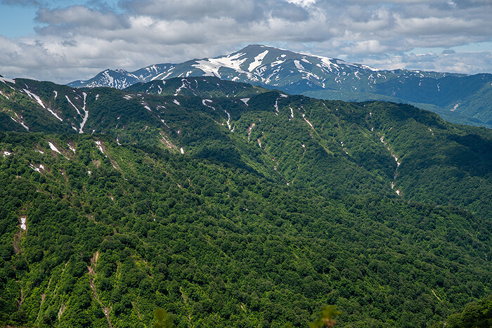 _DSC7730-1
