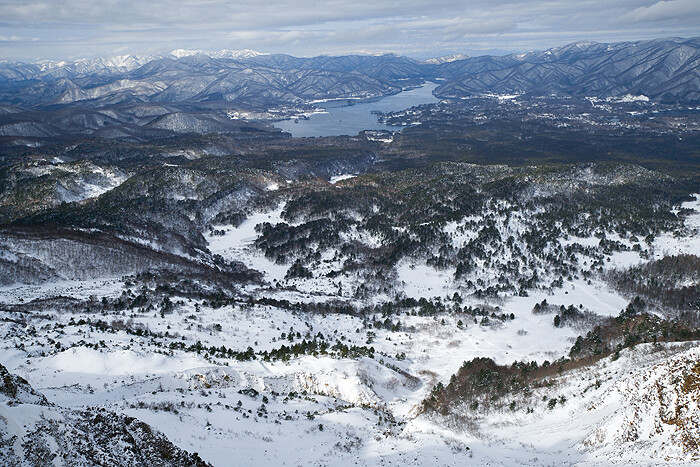 DSC_1121-1l