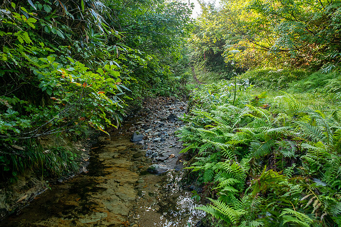 _DSC1761-1
