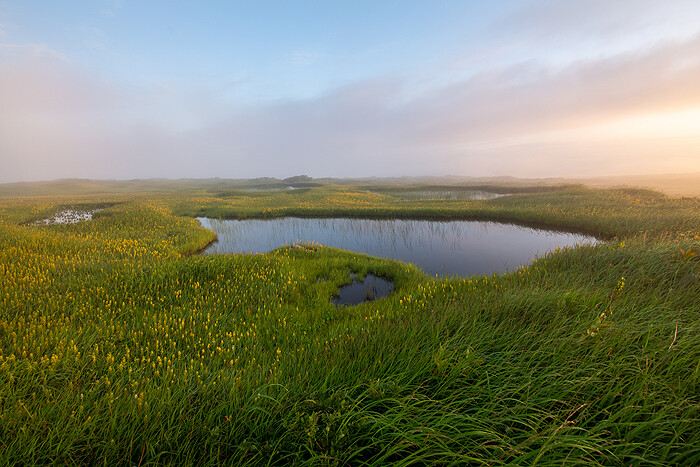 _DSC9517-1