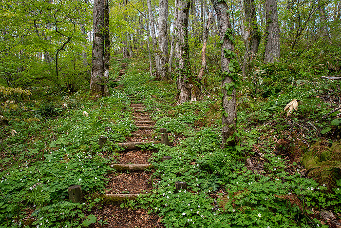 _DSC1941-1