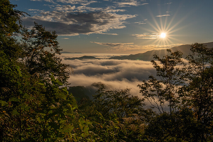 _DSC3028-1