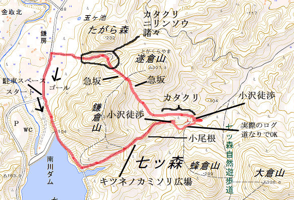 イメージ 16