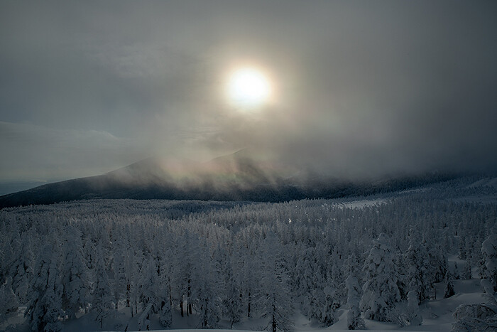 DSC_0556-1