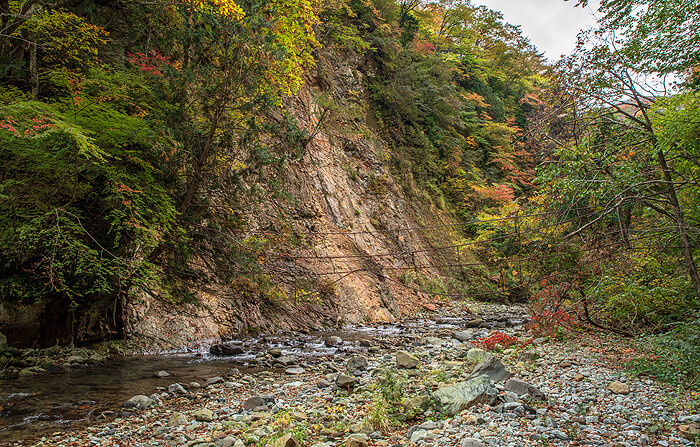 _DSC3269-1