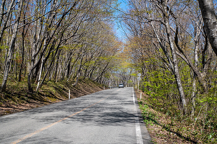 DSC_4184-1