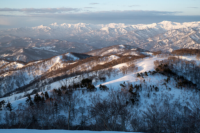 _DSC0221-1