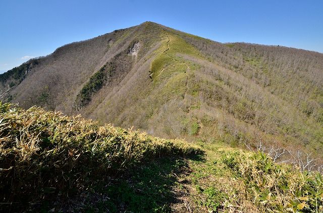 イメージ 17