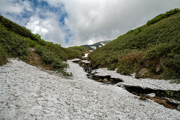_DSC4719-1
