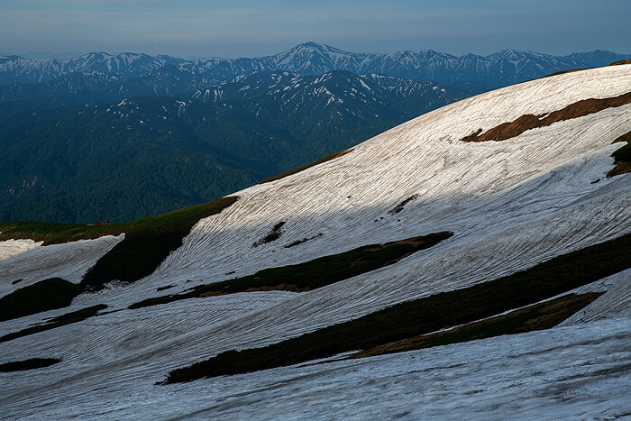 DSC_4330-1