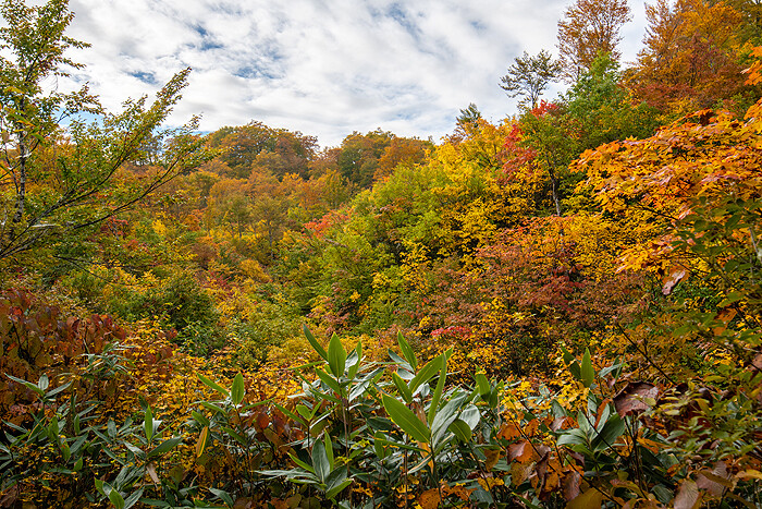 _DSC3060-1
