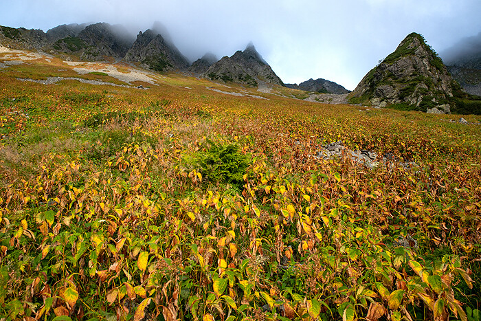 _DSC1641-1