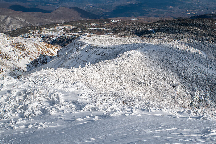 _DSC1700-1