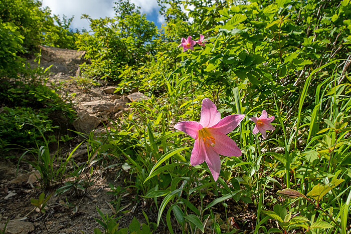 _DSC7748-1