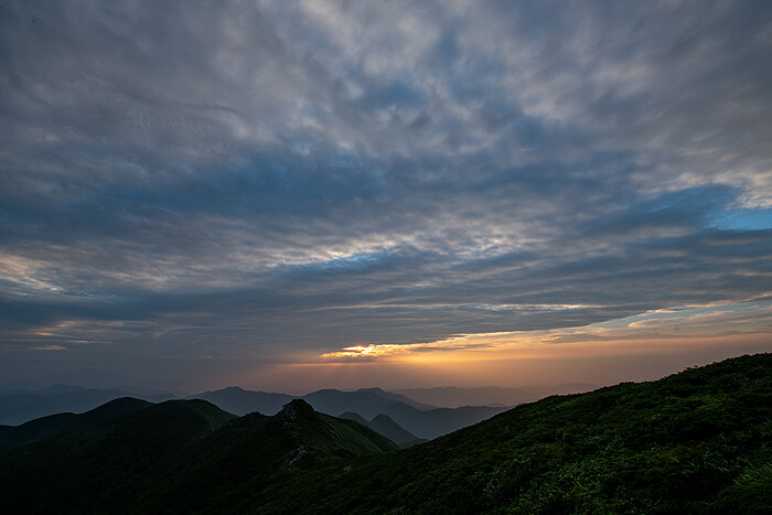 DSC_5929-1