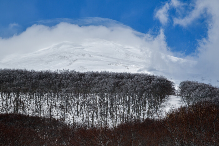 DSC_1186-1f